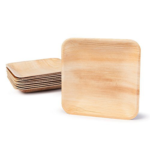 BIOZOYG DTW05369 Einwegteller aus Palmblatt, 25 Stück, eckig, 15x15 cm, kompostierbar