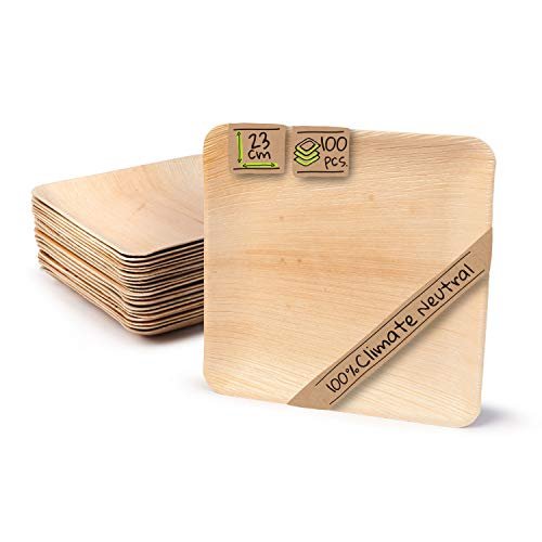 BIOZOYG Palmware Hochwertiges Palmblattgeschirr I 100 Stück Palmblatt Teller rechteckig 23 x 23 cm I Bio Einweggeschirr biologisch abbaubar Partygeschirr Einmalgeschirr Wegwerfgeschirr